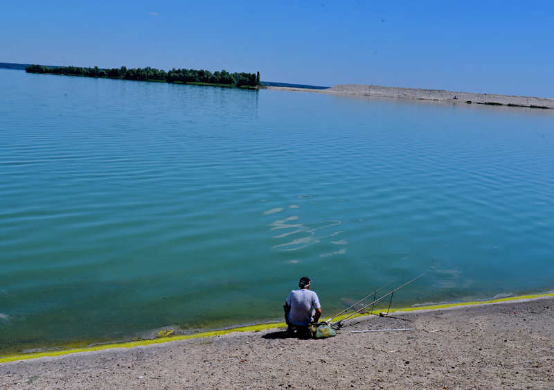 DSC_147612.jpg DSC_147612.jpg
