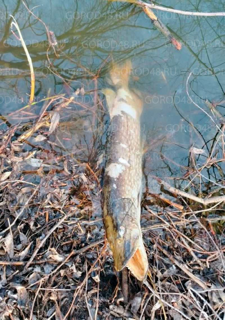 N_0QpLl3d28eGzuo5KyVQTKrtOC8i4PLh0Cql5_8W67DXxqyDwEcZRvm1jYjewc84W11QOwjA6-WqgHCxUPQz-N1.jpg+2026-04-13-17.46.34.jpg N_0QpLl3d28eGzuo5KyVQTKrtOC8i4PLh0Cql5_8W67DXxqyDwEcZRvm1jYjewc84W11QOwjA6-WqgHCxUPQz-N1.jpg+2026-04-13-17.46.34.jpg