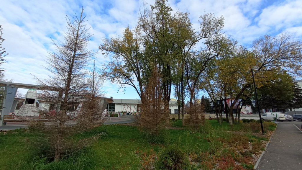 2125f318-bff8-4d7d-a06a-ca1e3701e7e1.jpg 2125f318-bff8-4d7d-a06a-ca1e3701e7e1.jpg