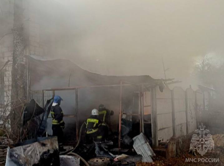 IMG_1489.jpeg IMG_1489.jpeg