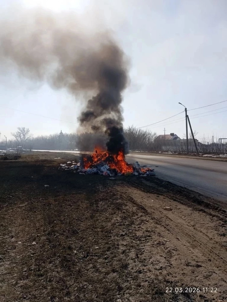 1mmwtqckf88milxm1ryqfo2etvws2wxj.webp 1mmwtqckf88milxm1ryqfo2etvws2wxj.webp