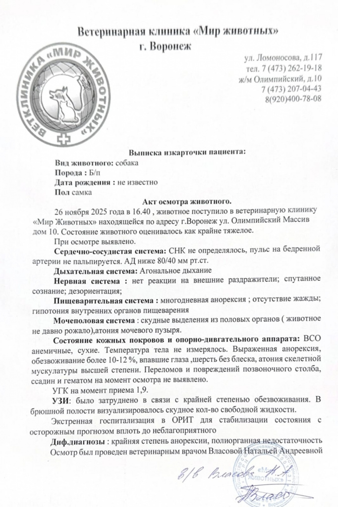 FF3YA6sjKZTCm-PRcEIWG0adVXbFEofiLTT29voO2W1aNUvu9-Po3WQ8HUeZOPUh1ZW1nTt_YX5puVpYkUyko6YH (1).jpg