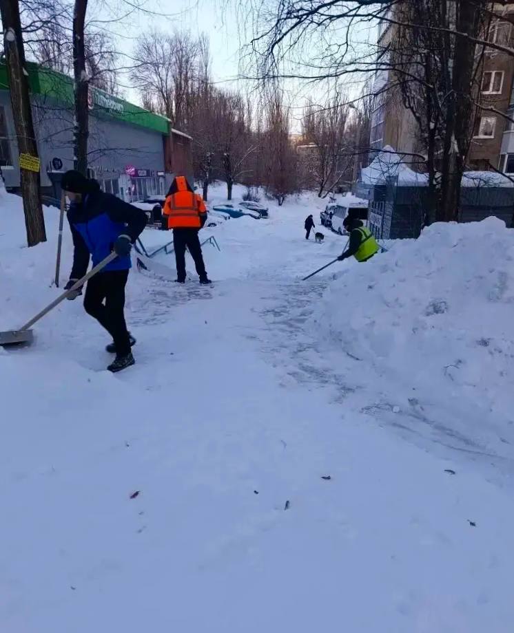 photo_2026-02-01_14-01-59.jpg photo_2026-02-01_14-01-59.jpg