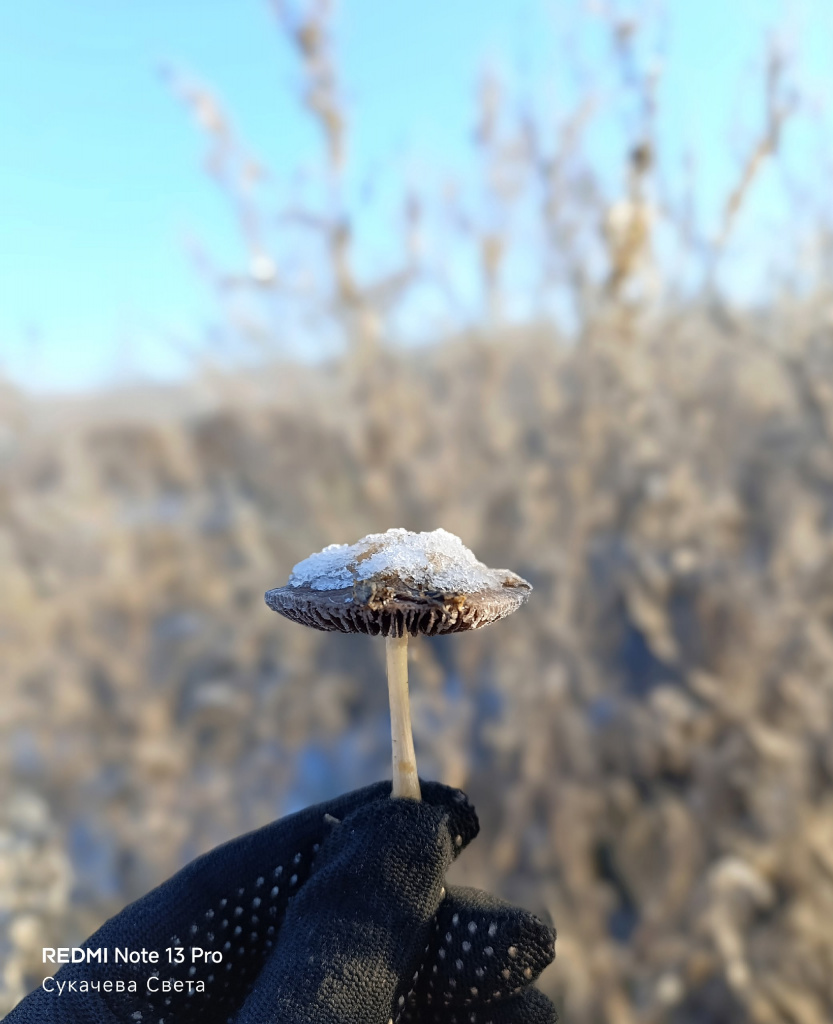 POwCZ7CcK6cIHcCM3lPQwWVVYWYKGC5q6X3OmSNVucfQU5lcELwyqjt9ZCz0iY2M0RTVWpOPCL-qXliX4H0ENf2r.jpg POwCZ7CcK6cIHcCM3lPQwWVVYWYKGC5q6X3OmSNVucfQU5lcELwyqjt9ZCz0iY2M0RTVWpOPCL-qXliX4H0ENf2r.jpg