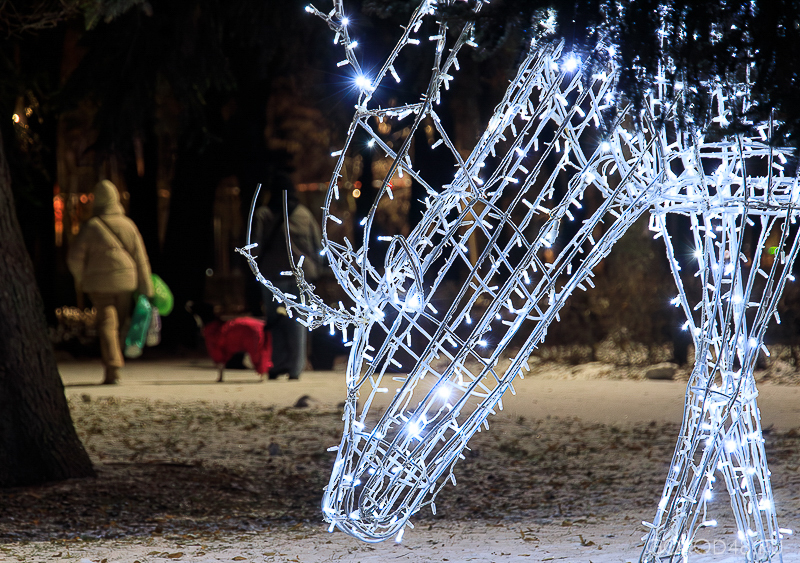 IMG_9925.jpg IMG_9925.jpg