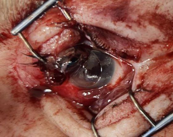 IMG_5637.jpeg IMG_5637.jpeg