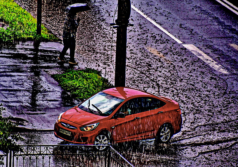 DSC_648812.jpg