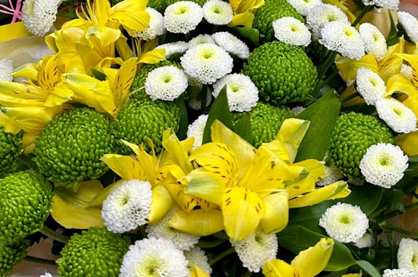 Без имени.jpg