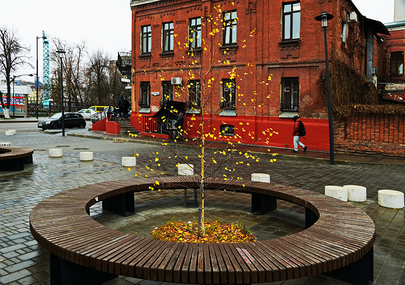 DSC0622612.jpg DSC0622612.jpg