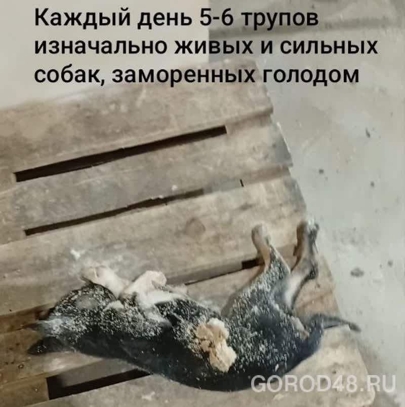 photo_2_2026-02-20_23-41-54 (1).jpg+2026-03-02-11.16.04+niz.jpg photo_2_2026-02-20_23-41-54 (1).jpg+2026-03-02-11.16.04+niz.jpg