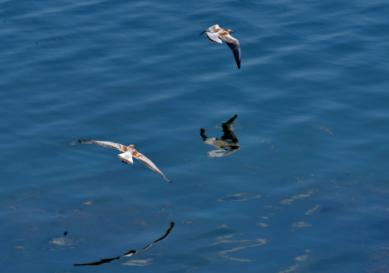 DSC_146412.jpg DSC_146412.jpg