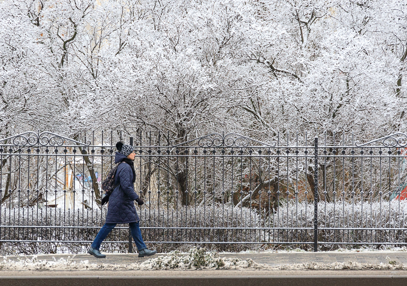 IMG_8599.jpg IMG_8599.jpg