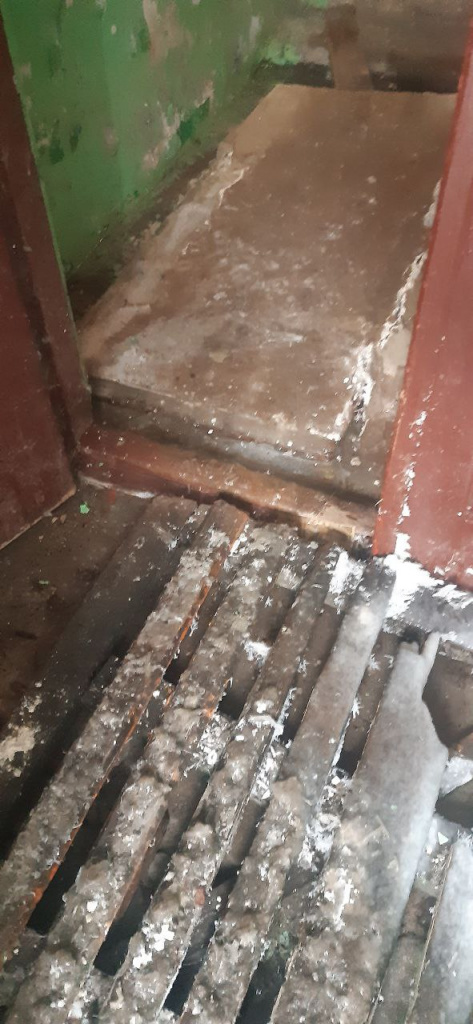 IMG_7849.jpeg IMG_7849.jpeg