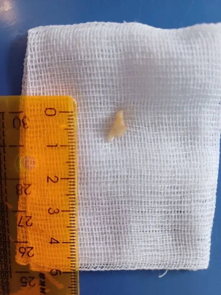 photo_2026-03-30_14-02-41.jpg photo_2026-03-30_14-02-41.jpg