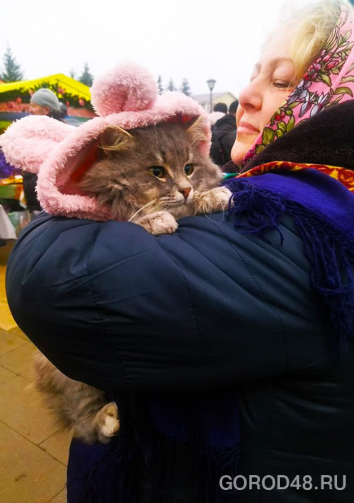 photo_2025-11-22_13-54-13 (3).jpg