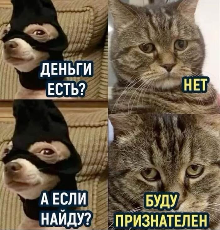 5ibtwd7f.jpg
