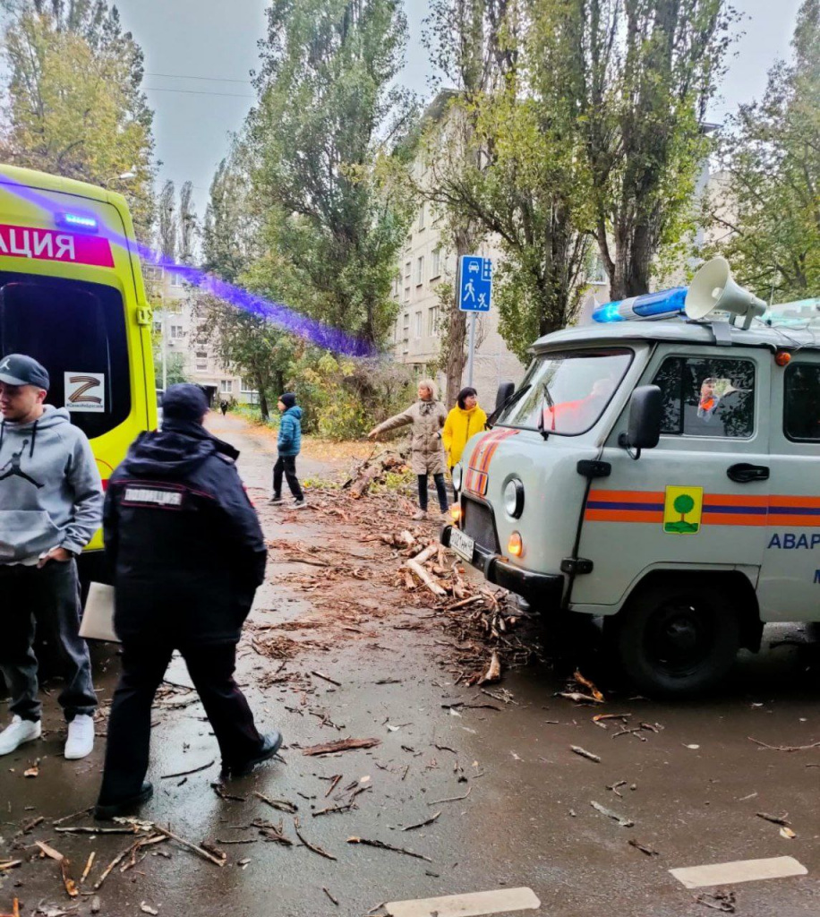 В Липецке дерево упало на девочку