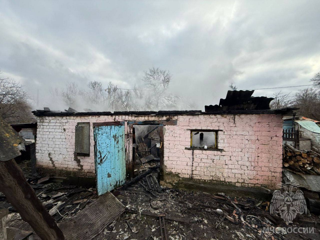 IMG_1387.jpeg IMG_1387.jpeg