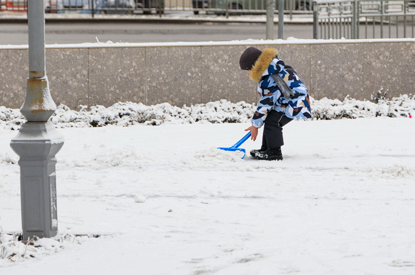 IMG_8586.jpg IMG_8586.jpg