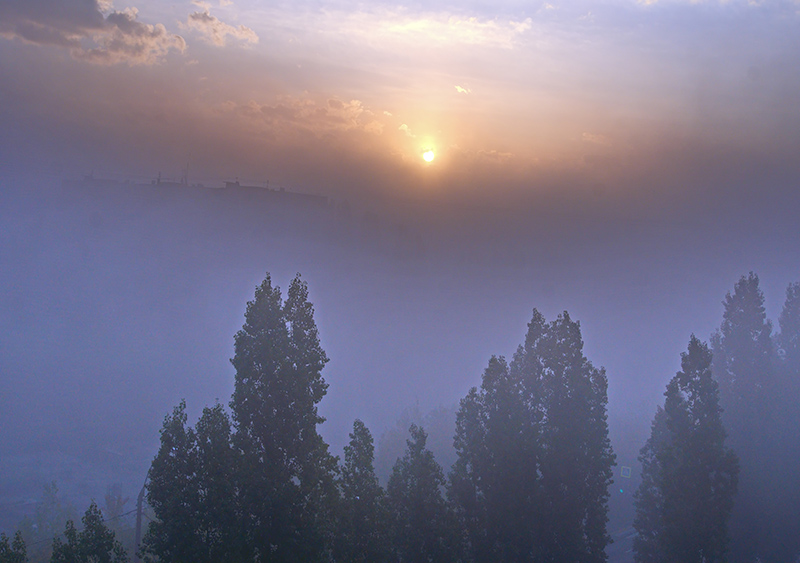 DSC0451212 (1).jpg DSC0451212 (1).jpg