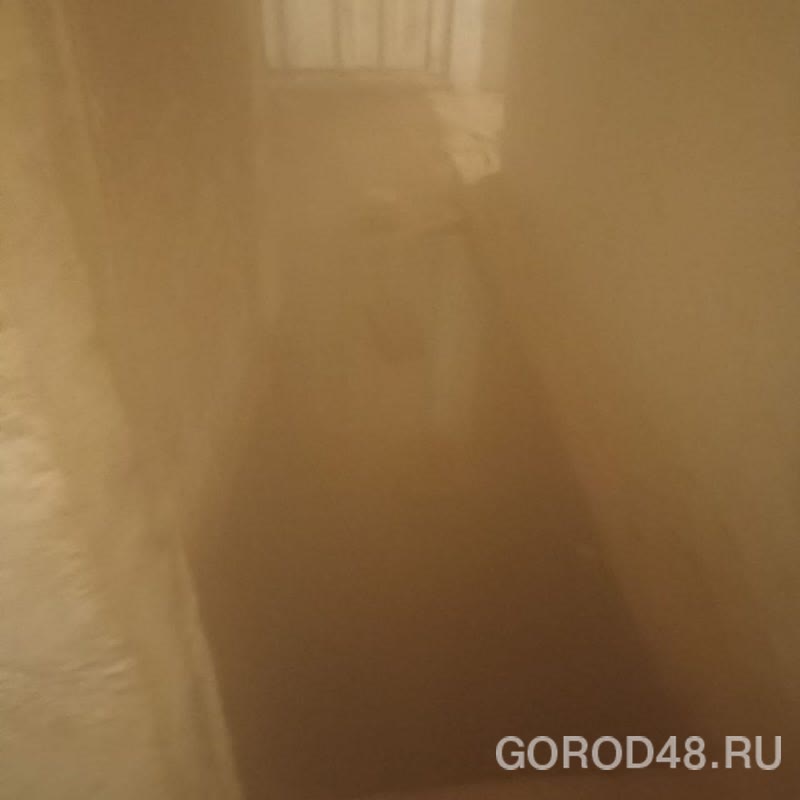 IMG_1262.jpeg+2025-11-05-11.36.04+niz.jpg IMG_1262.jpeg+2025-11-05-11.36.04+niz.jpg