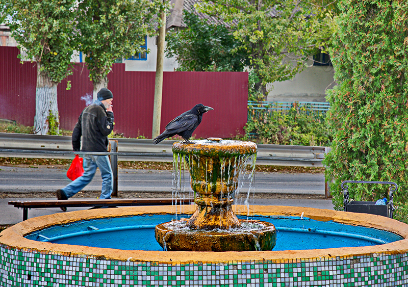 DSC_916012.jpg