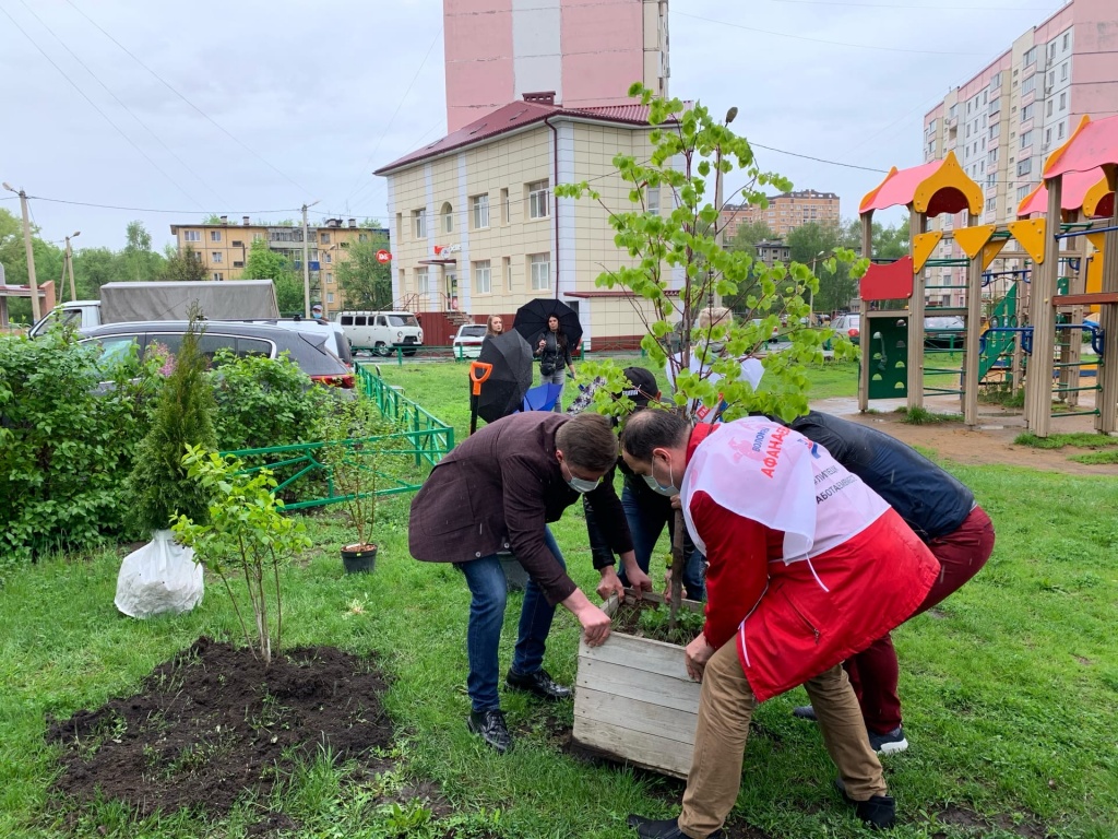 Акция дерево победы фото