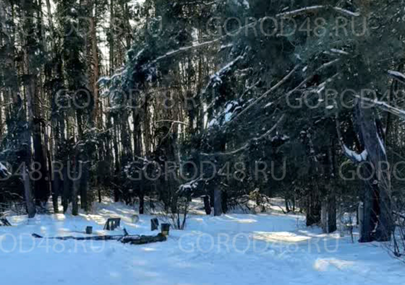 i (1).webp+2026-02-12-15.43.35.jpg