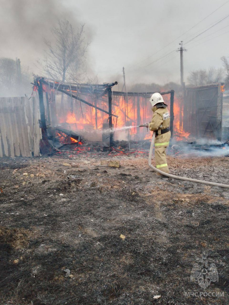 Две козы и собака стали жертвами пожара на улице Елецкой | 14.04.2023 |  Липецк - БезФормата