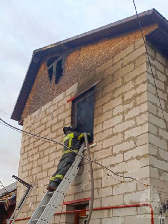 IMG_1487.jpeg IMG_1487.jpeg