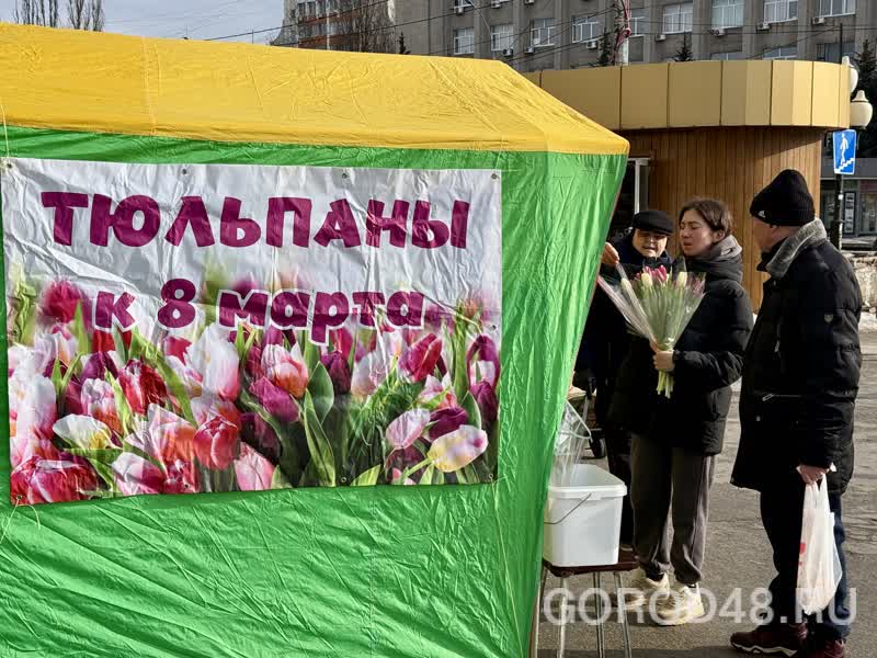 IMG_0250.jpeg+2026-03-04-10.12.34+niz.jpg IMG_0250.jpeg+2026-03-04-10.12.34+niz.jpg