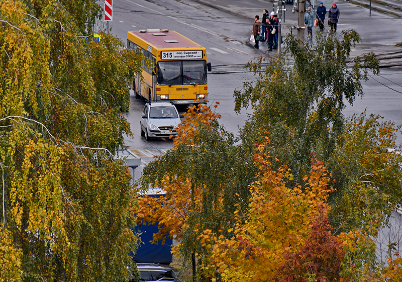 DSC_863912.jpg DSC_863912.jpg