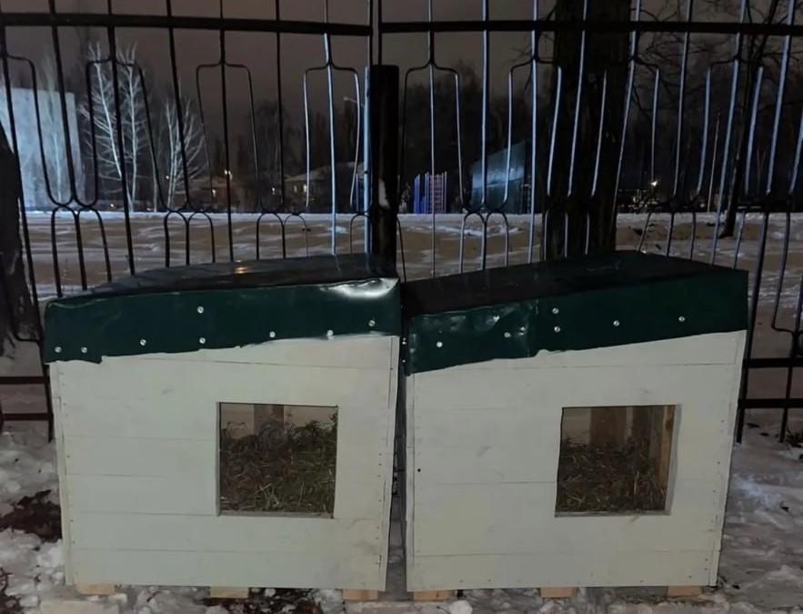 94ac799c-3da6-4c28-aafe-e6560894c162.jpg 94ac799c-3da6-4c28-aafe-e6560894c162.jpg