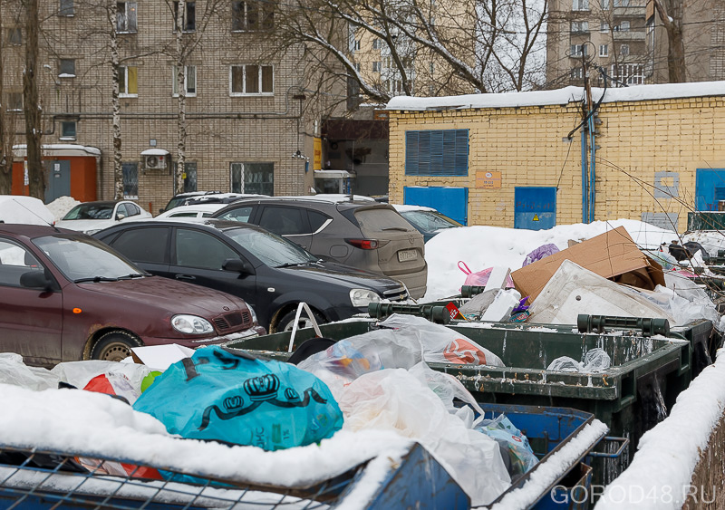 Экология с ватермарком (23 of 28).jpg