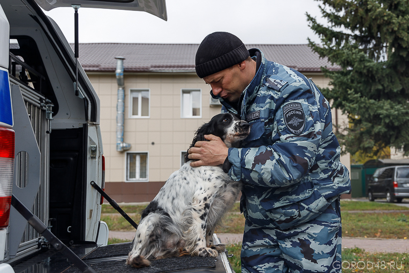 IMG_3799.jpg IMG_3799.jpg