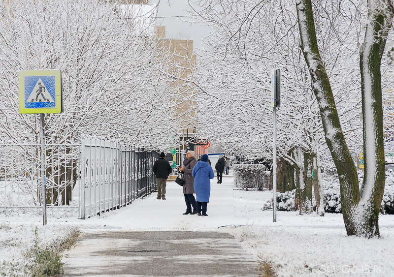 IMG_8558.jpg IMG_8558.jpg