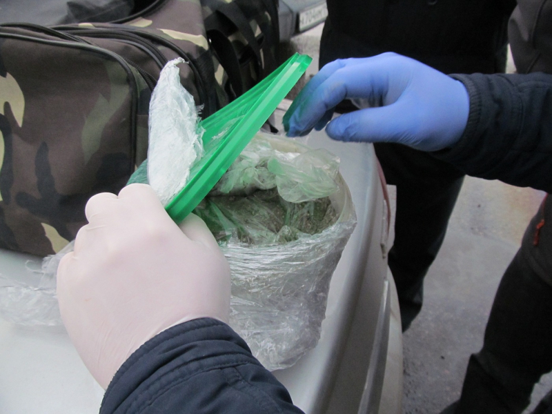 n2(2)-800x600.jpg