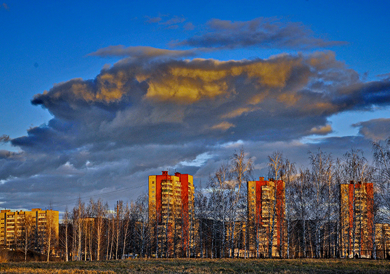 _DSC377612.jpg