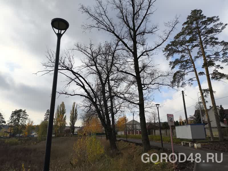 2db06a04-58b6-4310-a4dd-6d0d76999149.jpg+2025-10-29-13.12.04+niz.jpg 2db06a04-58b6-4310-a4dd-6d0d76999149.jpg+2025-10-29-13.12.04+niz.jpg