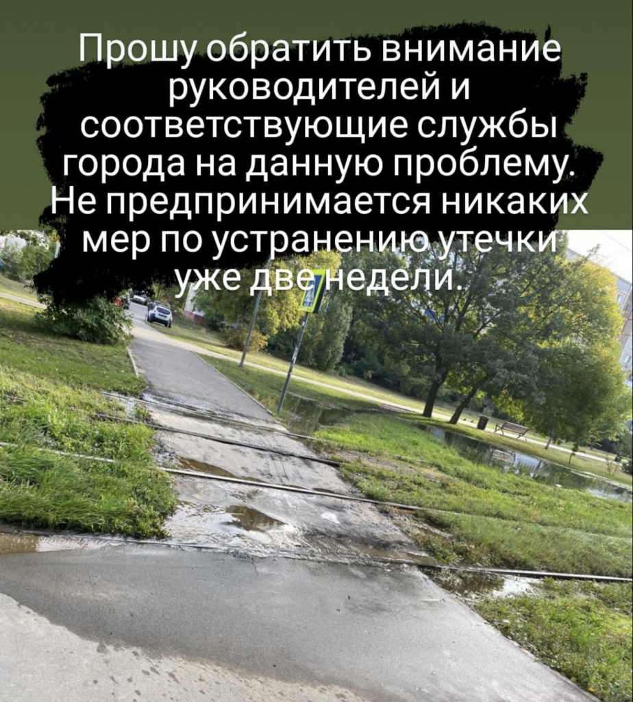 E0DAE231-F9A1-4F3A-8FE0-25E13D04829F.jpeg E0DAE231-F9A1-4F3A-8FE0-25E13D04829F.jpeg