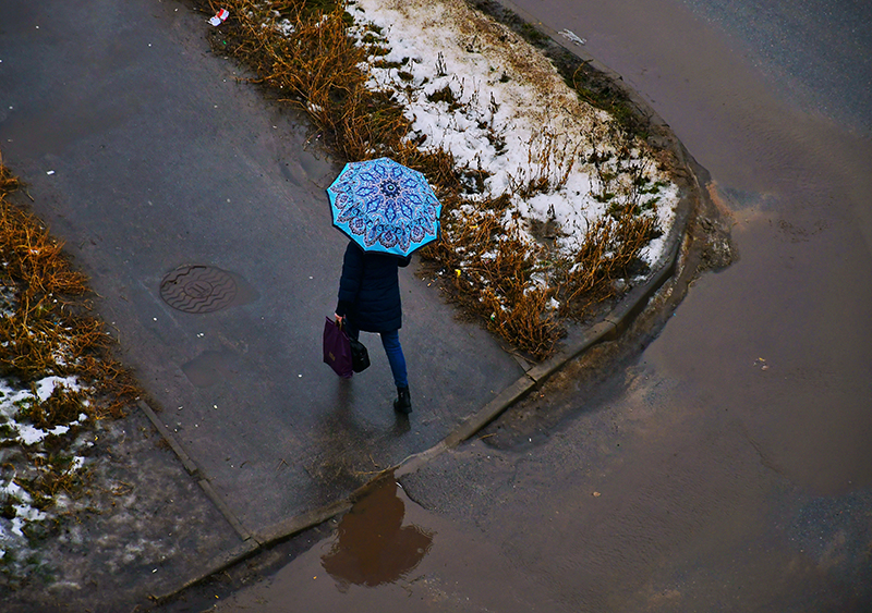 DSC_520312 — копия.jpg