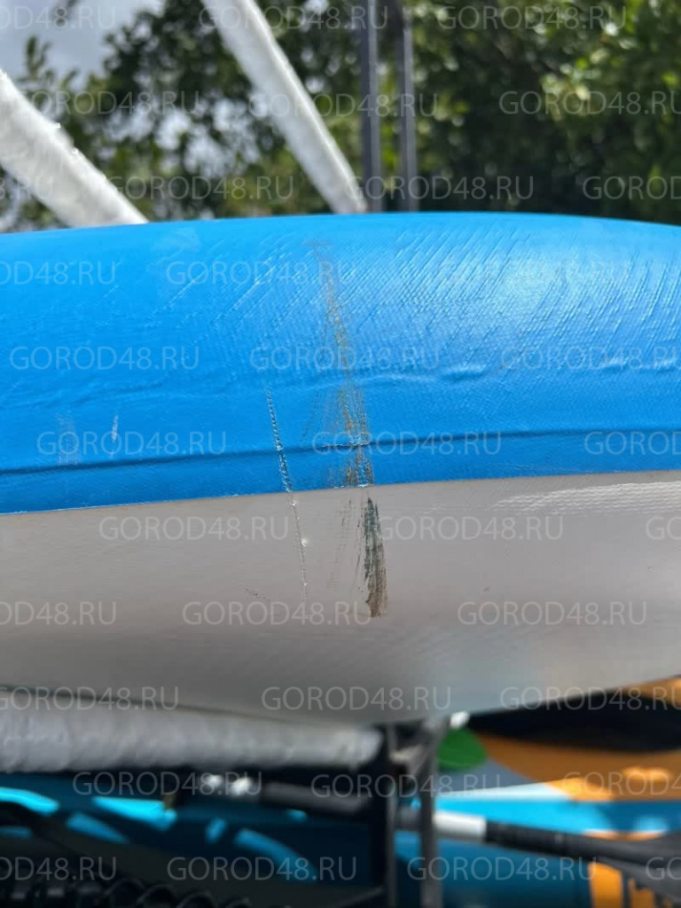 IMG_6684.jpeg IMG_6684.jpeg