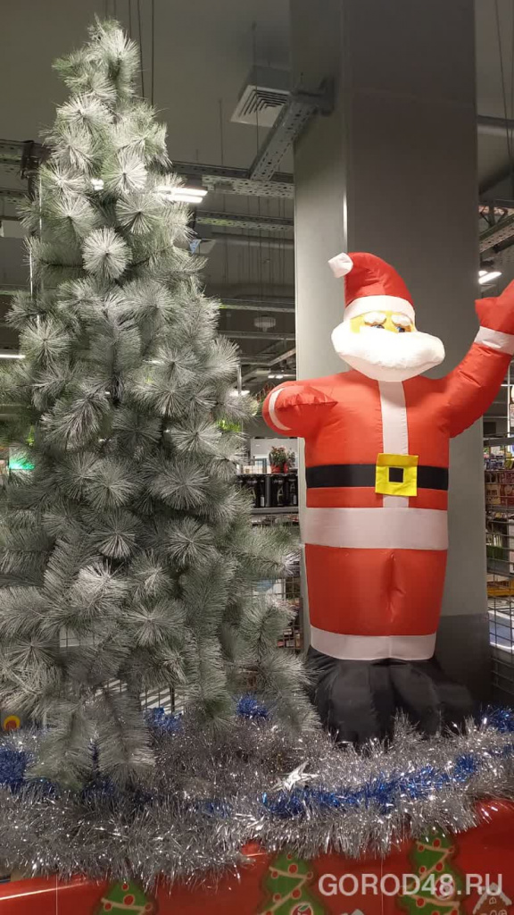 WhatsApp Image 2025-11-28 at 10.24.50.jpeg2025-11-28-10.29.04niz.jpg