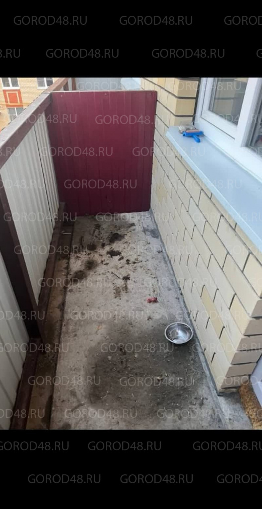 PYNKiqYfE6b-uTZaJmyZn2v7KFkgGVuLXu9fAFuXes3gh4Dijqb3UgBWHFqZfCRAkbQlrwXYCs9XOAGZdyHFC4fy (1).jpg+2026-01-08-16.24.34.jpg