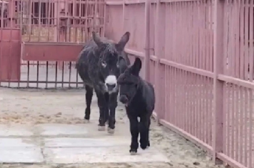 Без имени.jpg