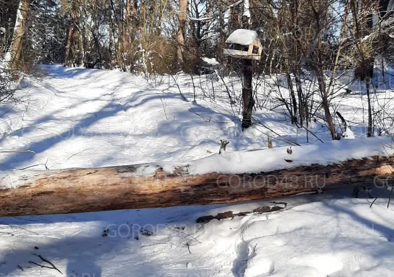 i (2).webp+2026-02-12-15.43.35.jpg