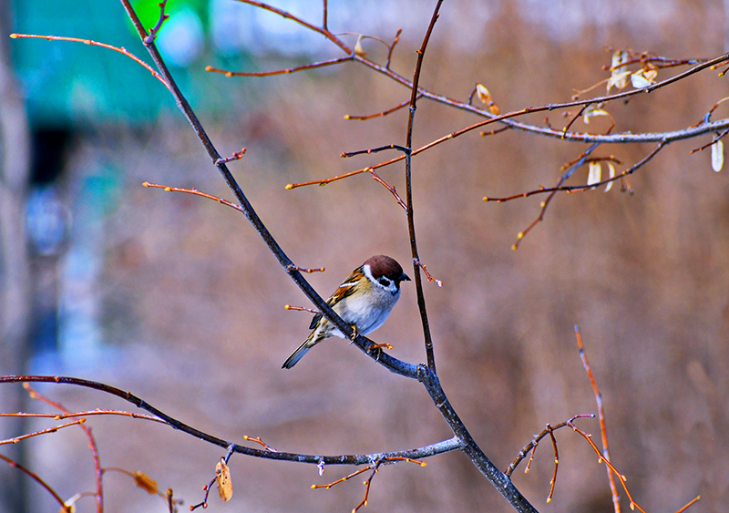 DSC_557612.jpg DSC_557612.jpg