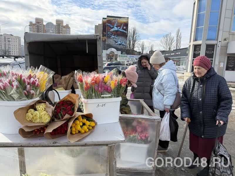 IMG_0232.jpeg+2026-03-04-10.12.34+niz.jpg IMG_0232.jpeg+2026-03-04-10.12.34+niz.jpg