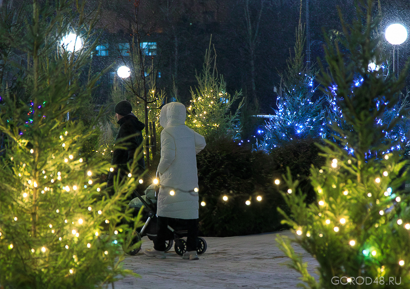 IMG_9608.jpg IMG_9608.jpg