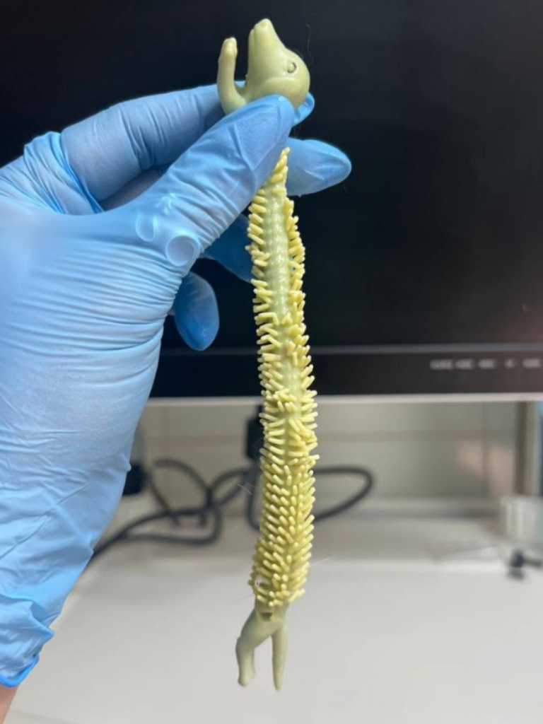 Udmo7yiSFUbmYyWrQU17YFj3URJXPOuJrj30GCFmA0OASGeMD69IwqOaf4lzQYrpVQZXcX5zxdSVy7GEKE2TqxNf.jpg Udmo7yiSFUbmYyWrQU17YFj3URJXPOuJrj30GCFmA0OASGeMD69IwqOaf4lzQYrpVQZXcX5zxdSVy7GEKE2TqxNf.jpg